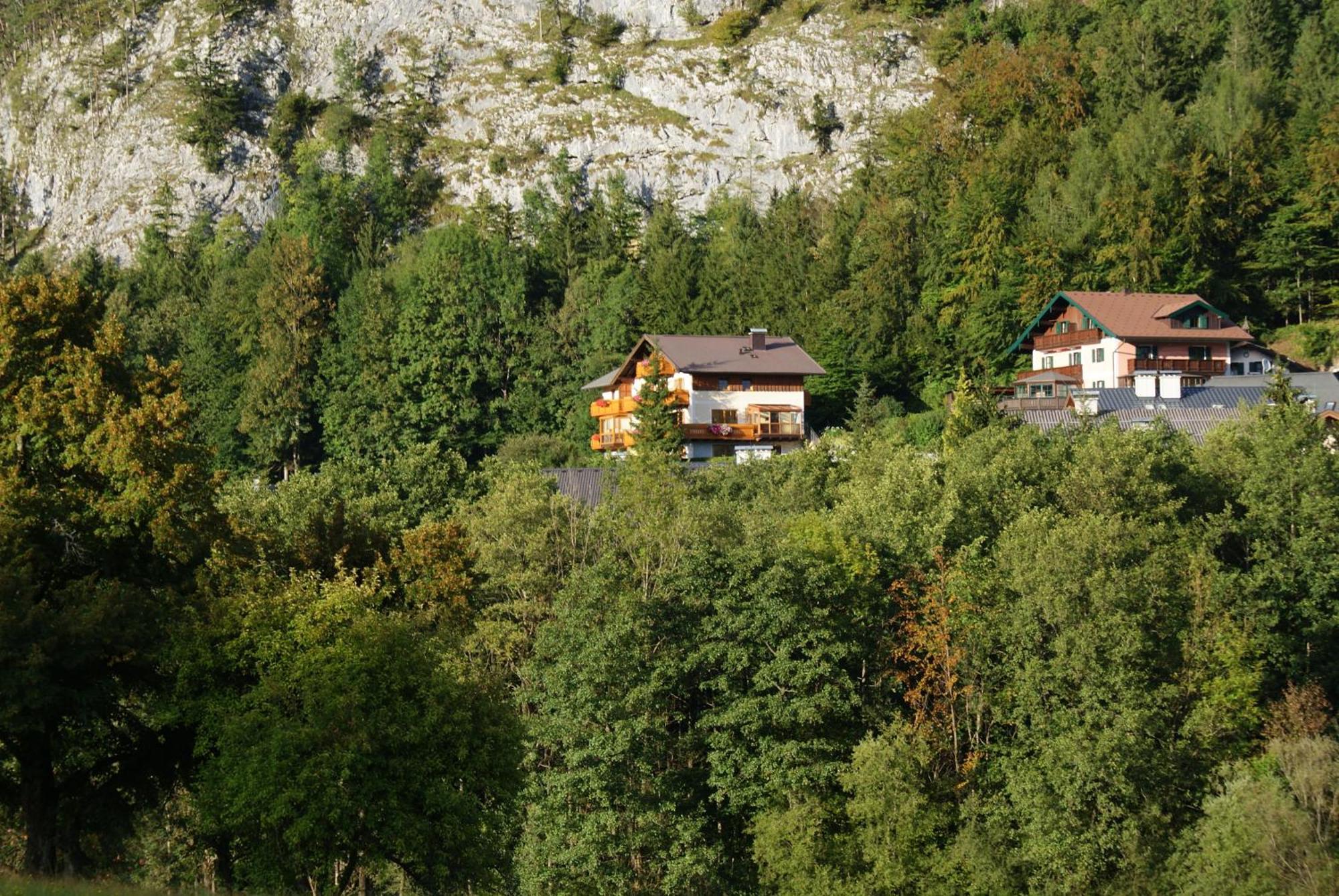 Apartment Haus Meissnitzer Fuschl am See